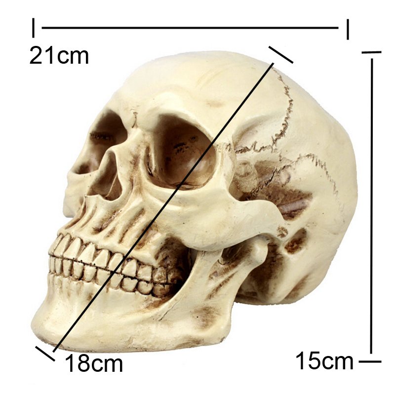 skull22