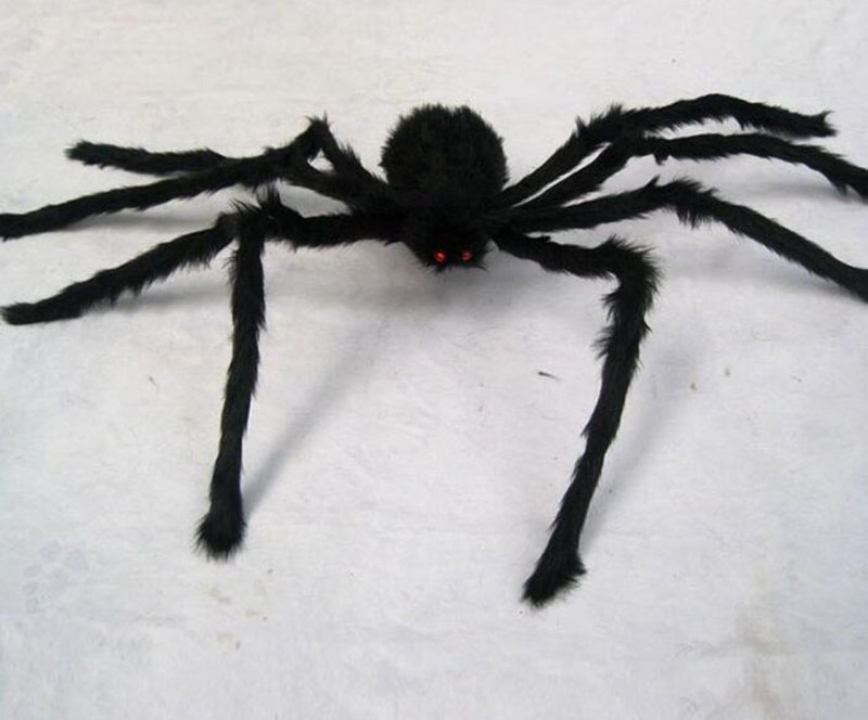 1672e128835153cc3b05a684b94a7723_no-ho-33011