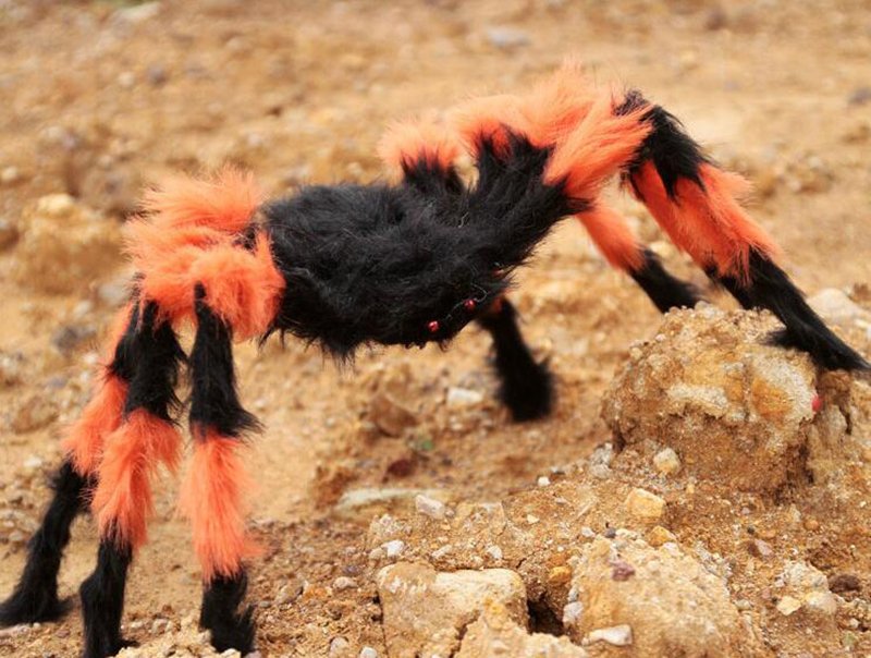 18645e2d1361ae435b9b13dd2baa8972_no-ho-3307