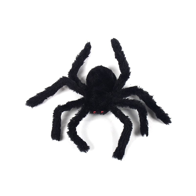 36e27b73994bcfde2fb4c8356e5460d8_no-ho-3309