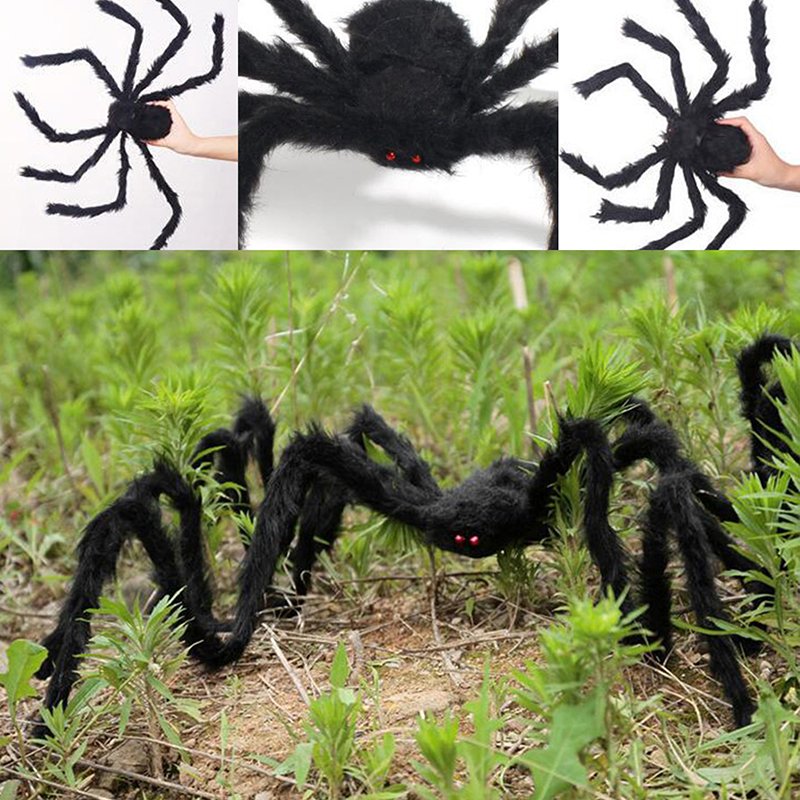 abe2e17fd5a77474b6a99b20e714cf44_no-ho-3305