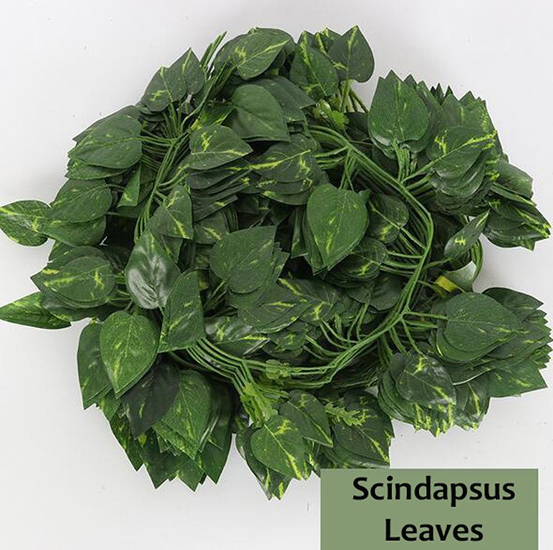 188a7cd0a24562f1687208c79d91f875_ap02-P05