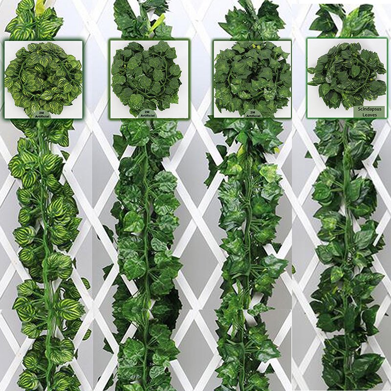 5dbefe4f06bb5901e5a9bf78d3af1f1c_ap02-P01