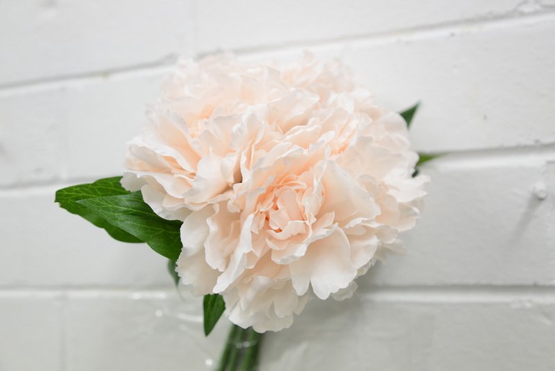 81051d4e84744907696a73a4bf7de984_af-fw-1603