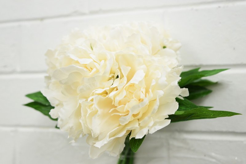 8cbfa0e8b9dfc3eb0983aab2c039af01_af-fw-1604