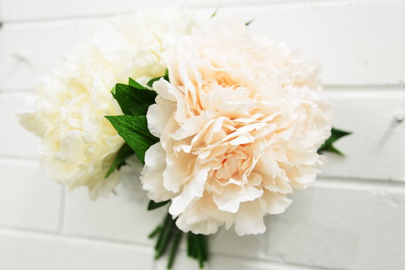 9bcb53f39a2aba00abc322080da761be_af-fw-1605