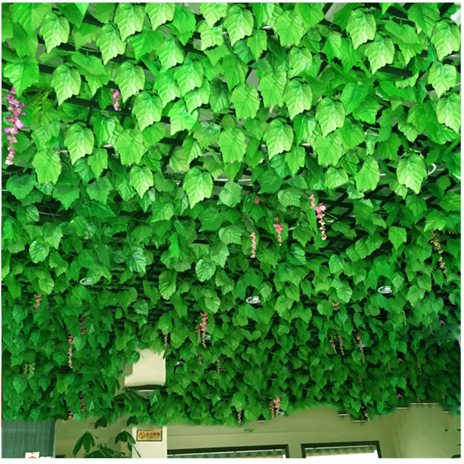 2037c0d9a1e7e1b536bac1d16a3e2b4a_12