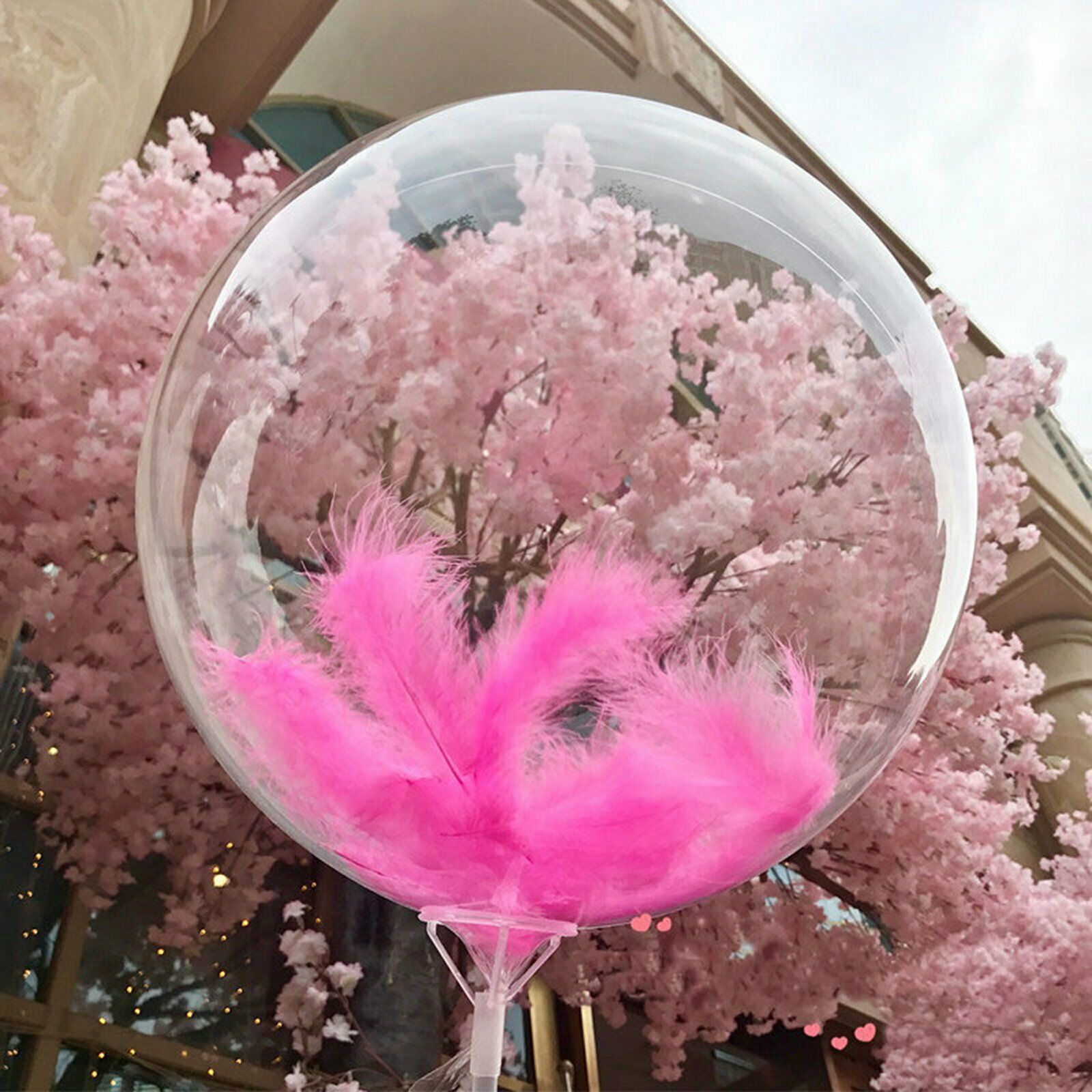 c03d7bf2b2818c4da91bf49c2a14a114_babo038_05