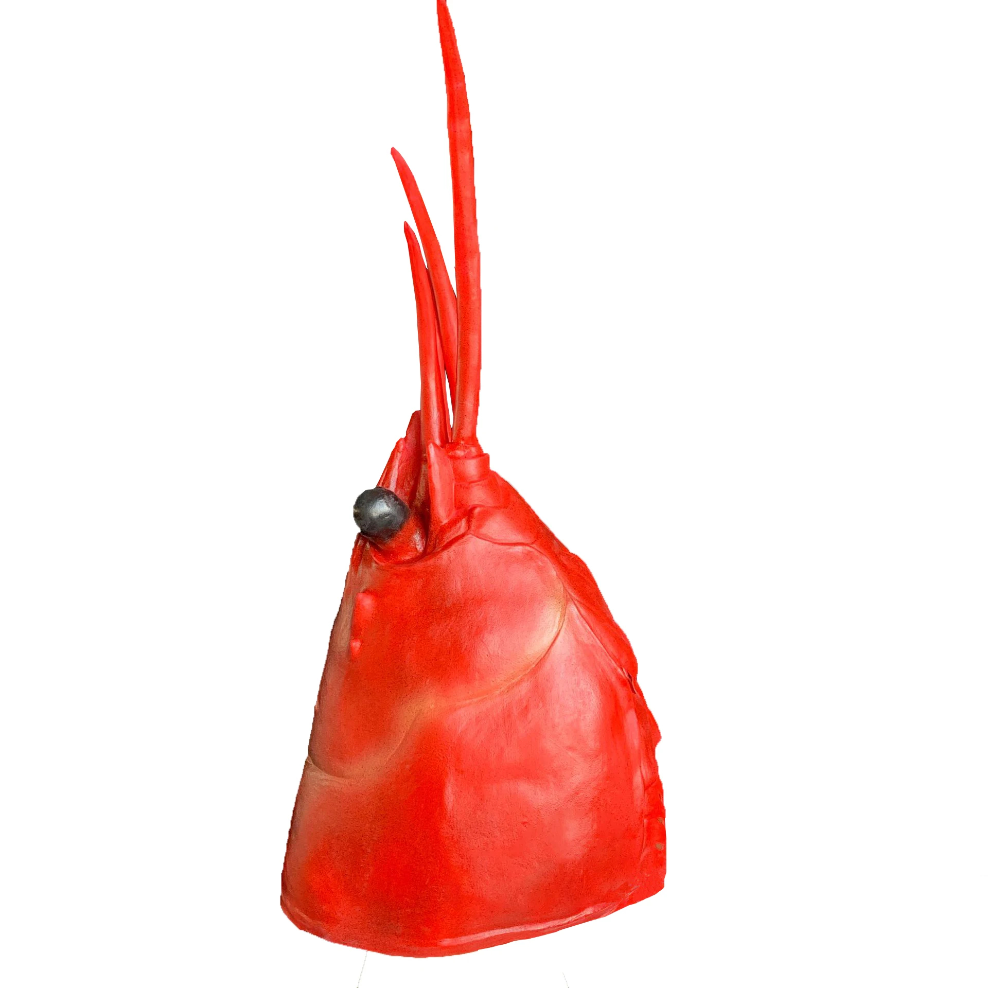 Sd89e6e6f15ba4ae88ad69e39618fc7deh