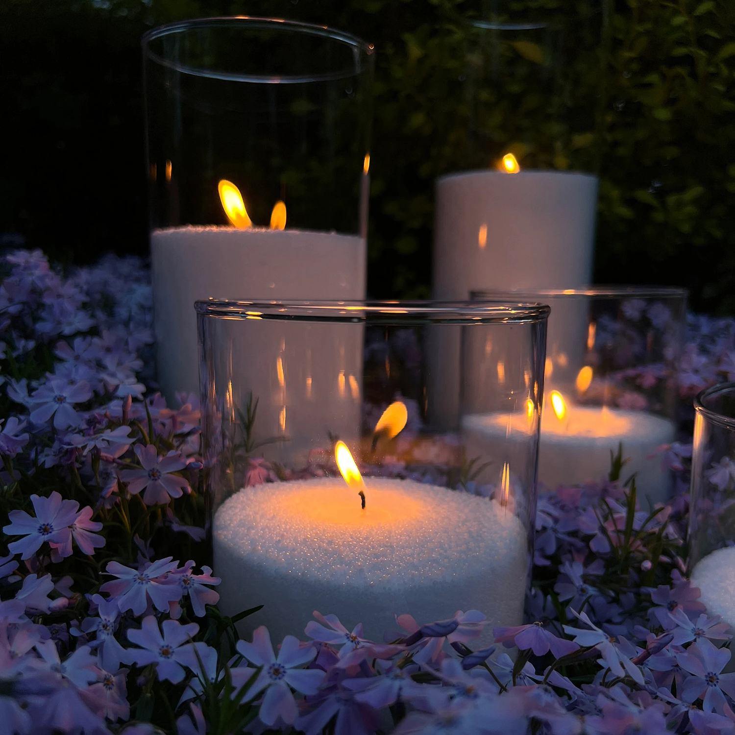 il_NxN.4975187318_1yr1